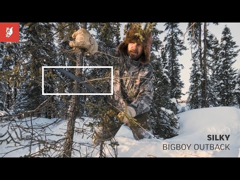 Silky Outback Series: BIGBOY