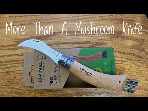 The Opinel Mushroom Knife A Knife that is good for more than just hunting mushrooms!