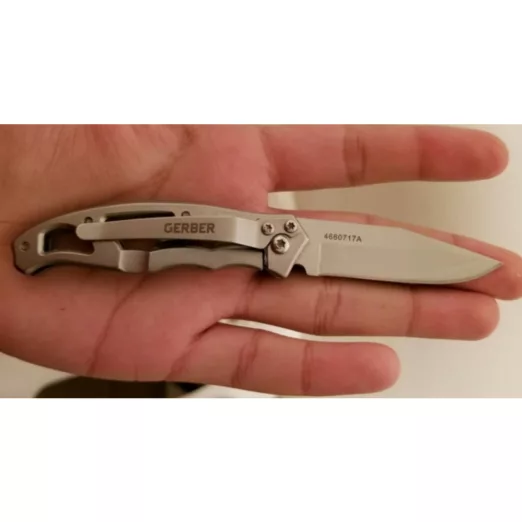 Gerber Knife Mini Paraframe Fine Edge-0