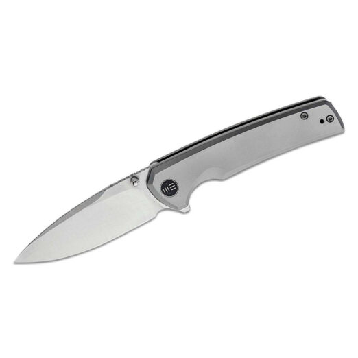 WE Knife Co. Subjugator, Grey Titanium with Satin Finished CPM-20CV Blade,  WE21014C-1