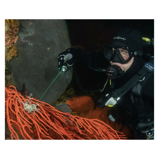OrcaTorch D570-GL 2.0 Dive Light with White Light (1500 Lumens) and Green Laser Light (1000 Metres) - Image 24