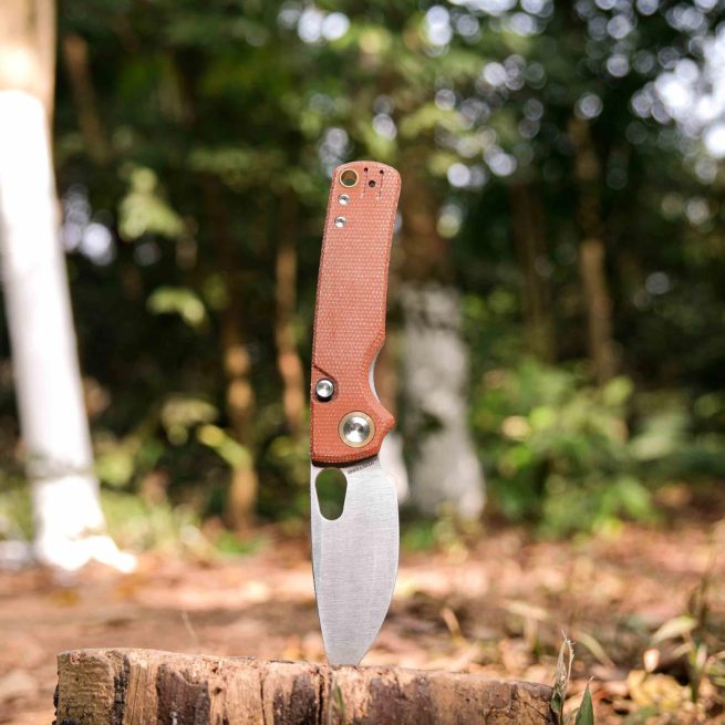 Porcupine - Top Liner Lock (2.99" 14C28N Blade & Micarta Handle) - A2604 - Image 13