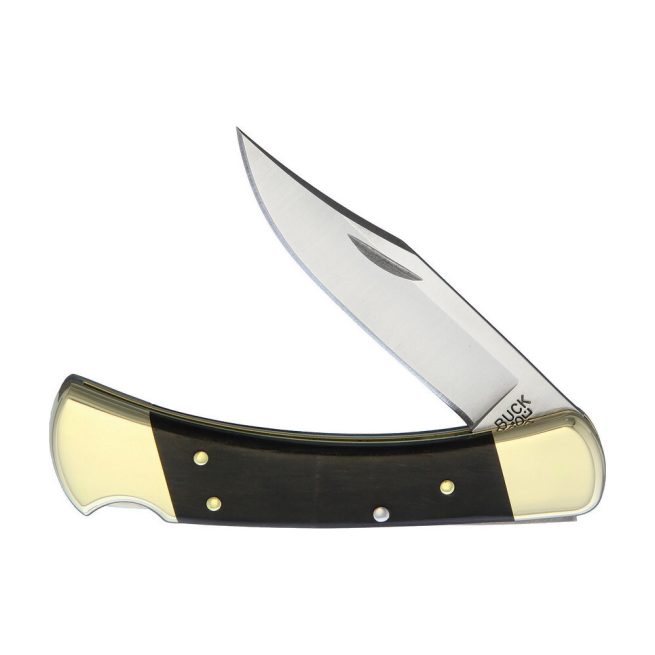 Buck Folding Hunter with Leather Pouch 110BRS - Image 10
