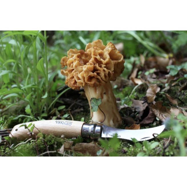 Opinel #08 Mushroom Knife - Image 2