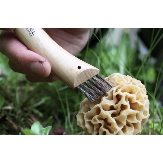 Opinel #08 Mushroom Knife - Image 5