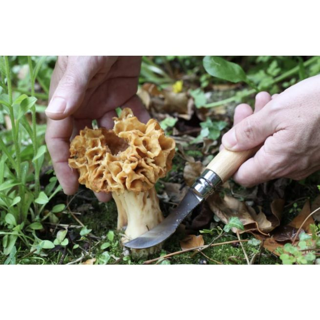 Opinel #08 Mushroom Knife - Image 4
