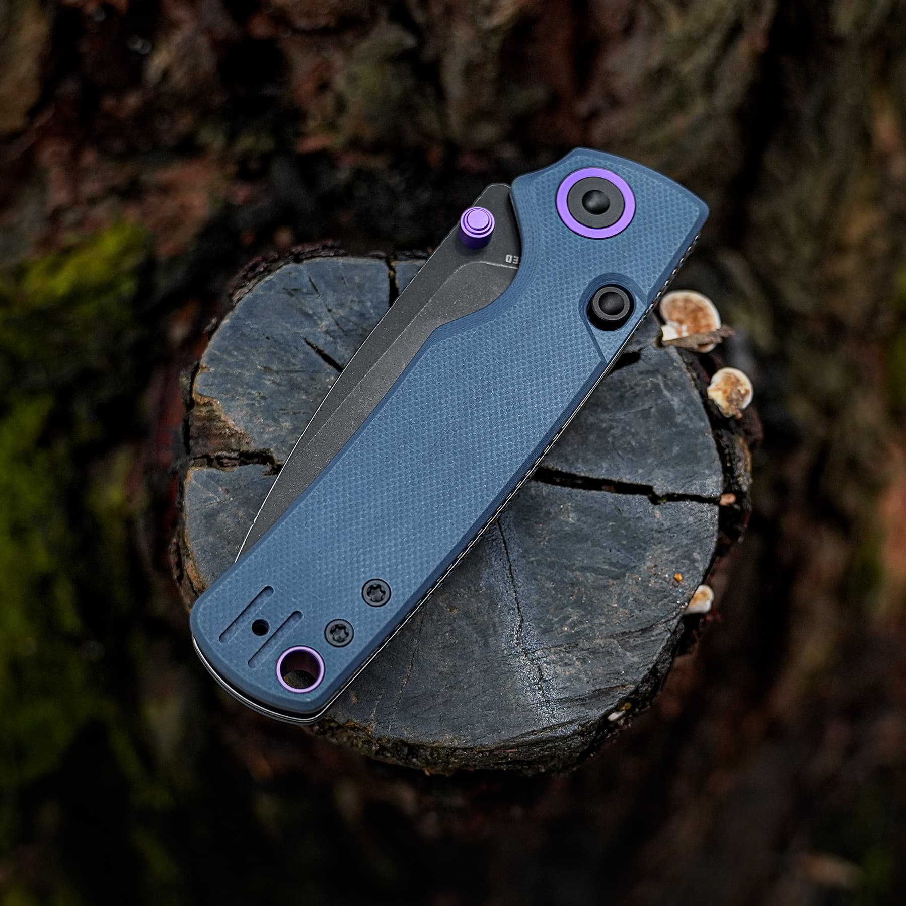 Blue rugged smartphone resting on a tree stump, showing a purple-ringed camera module on the blue textured back.
