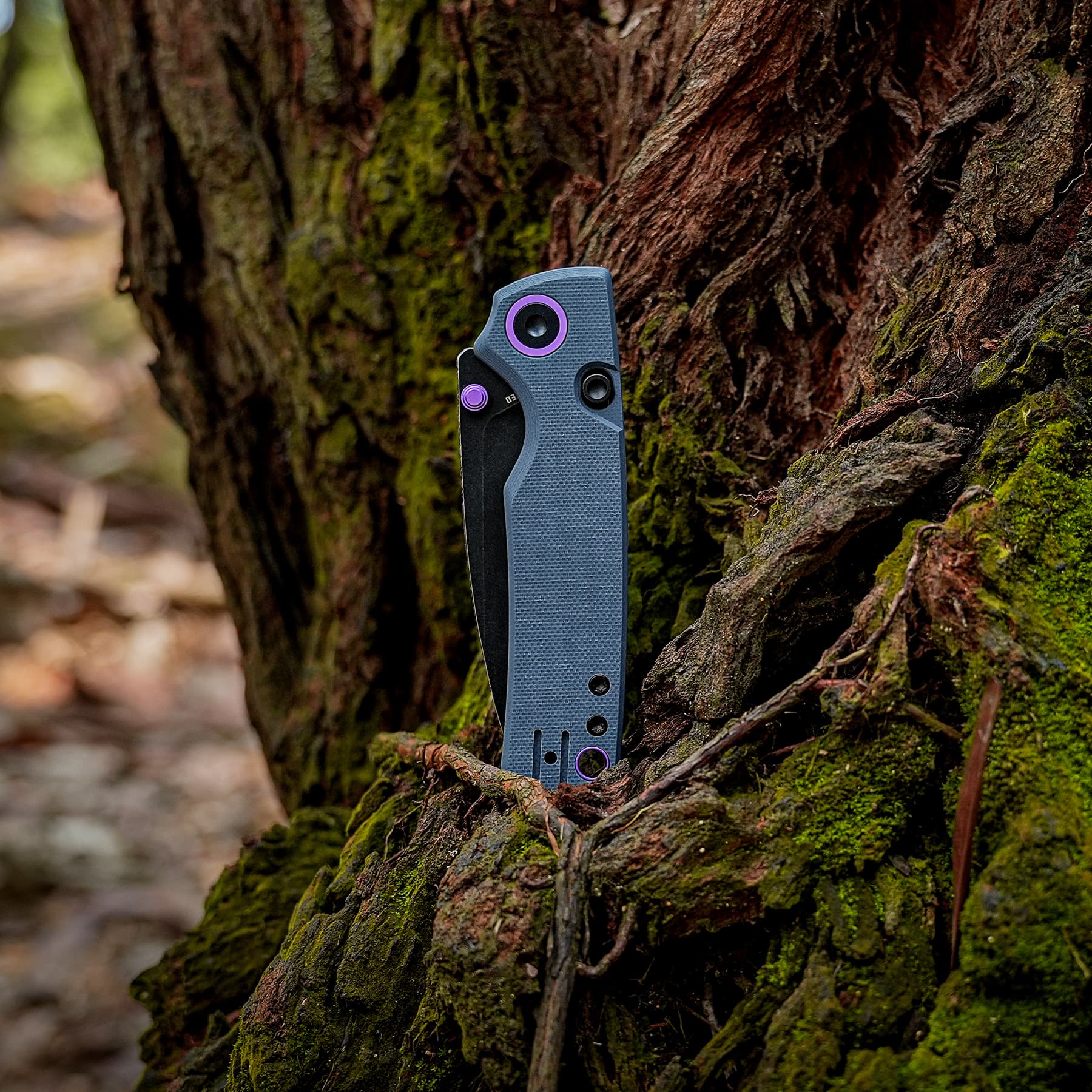 Gray folding knife with purple accents wedged into mossy tree bark in a forest.