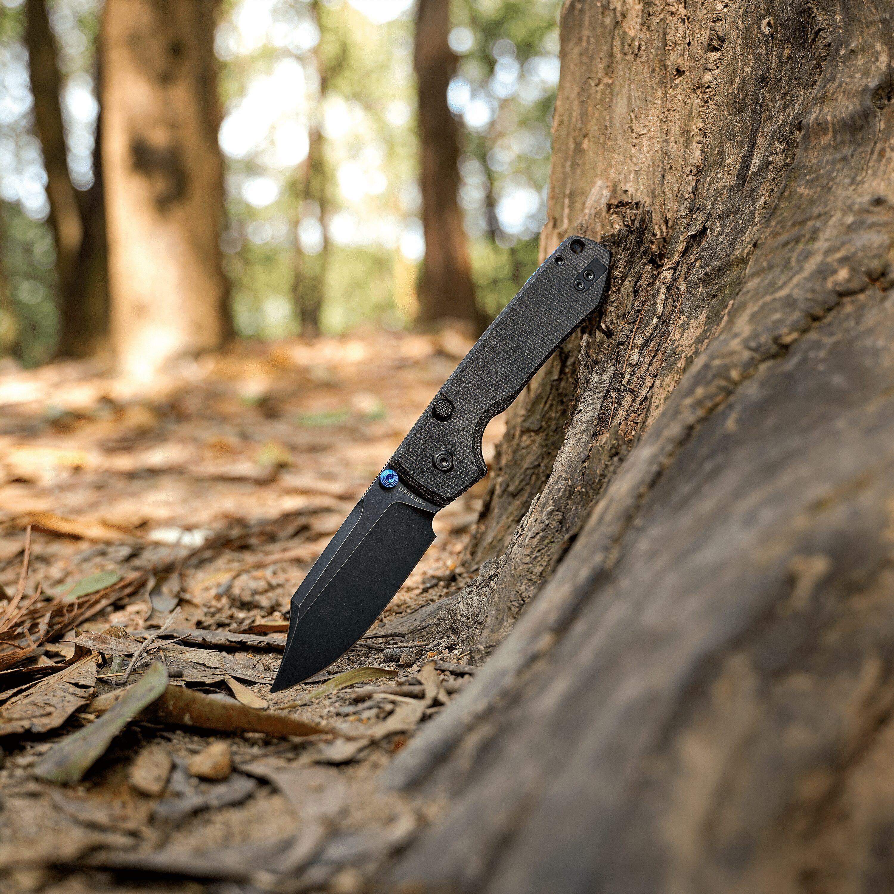 Knife wedged into a tree trunk in a sunlit forest, with fallen leaves around the base.