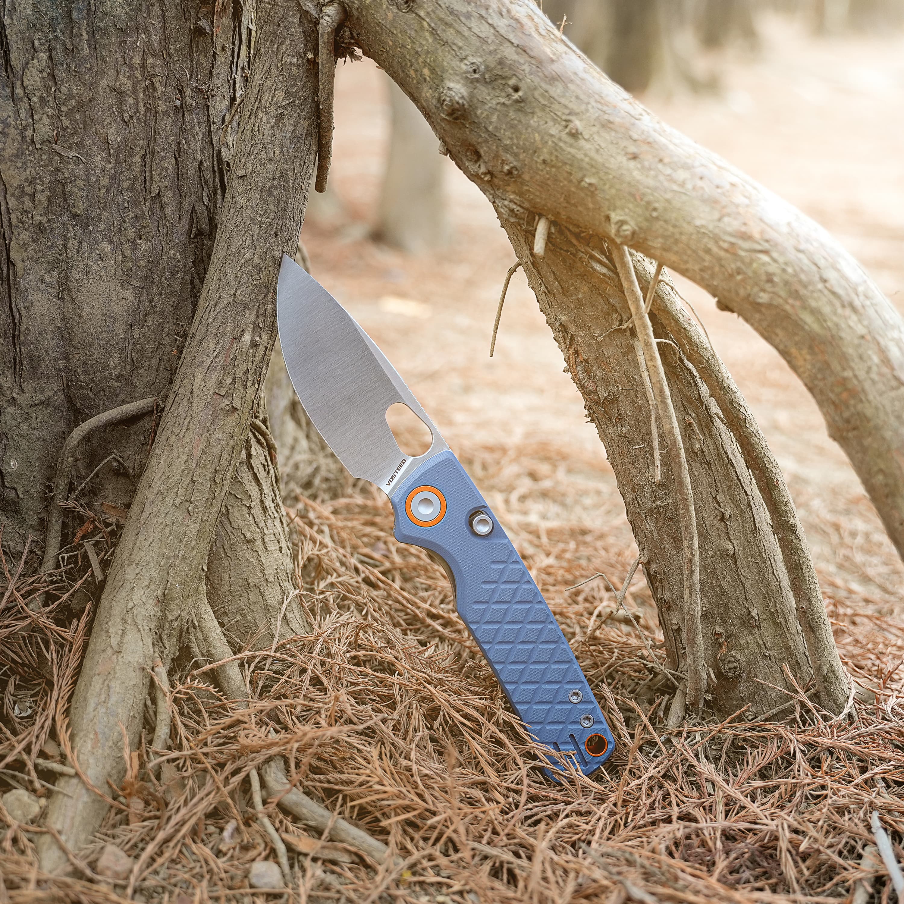 Blue-handled knife embedded in a tree trunk outdoors among pine needles.