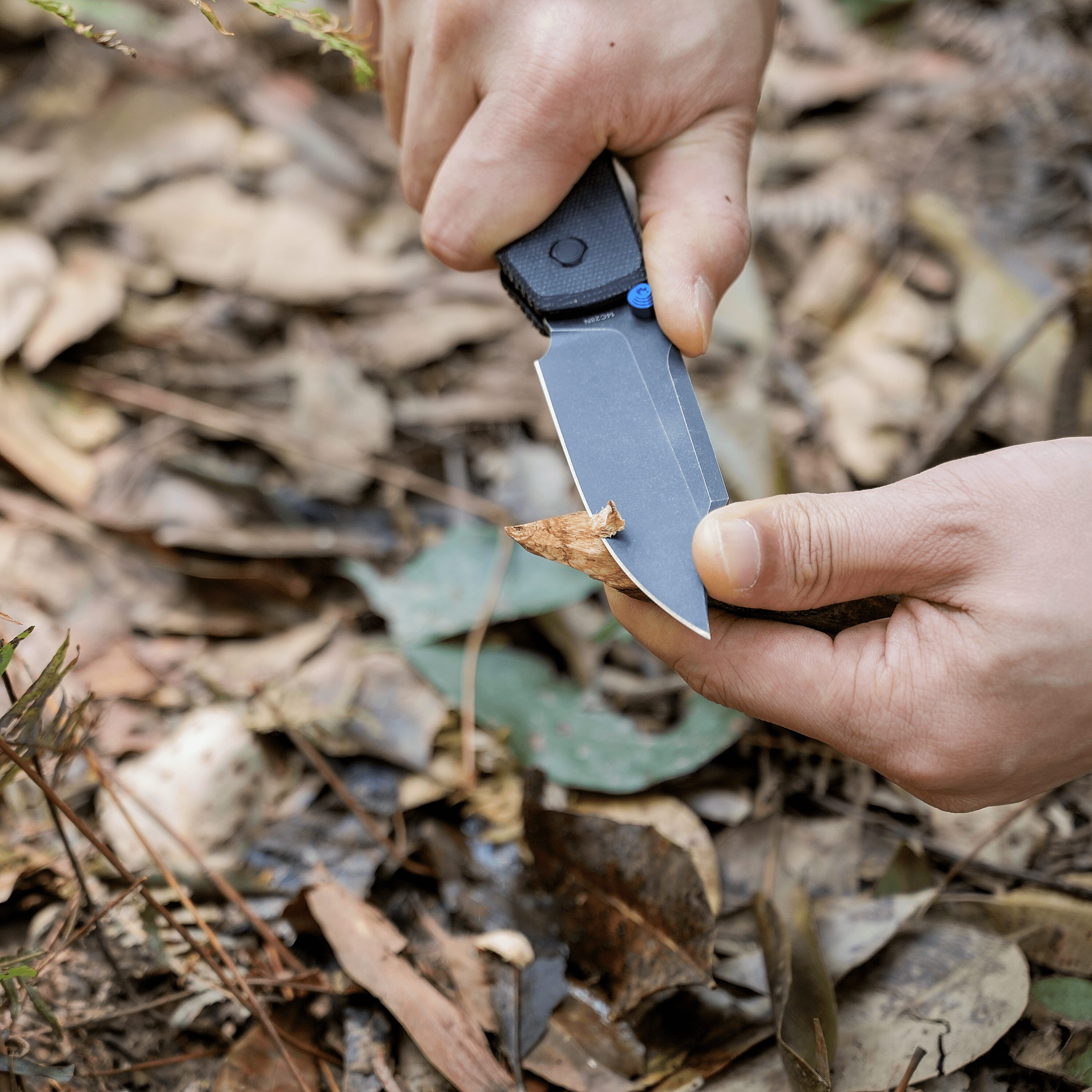 Close-up of hands using a folding knife to cut a dried leaf outdoors on the forest floor.