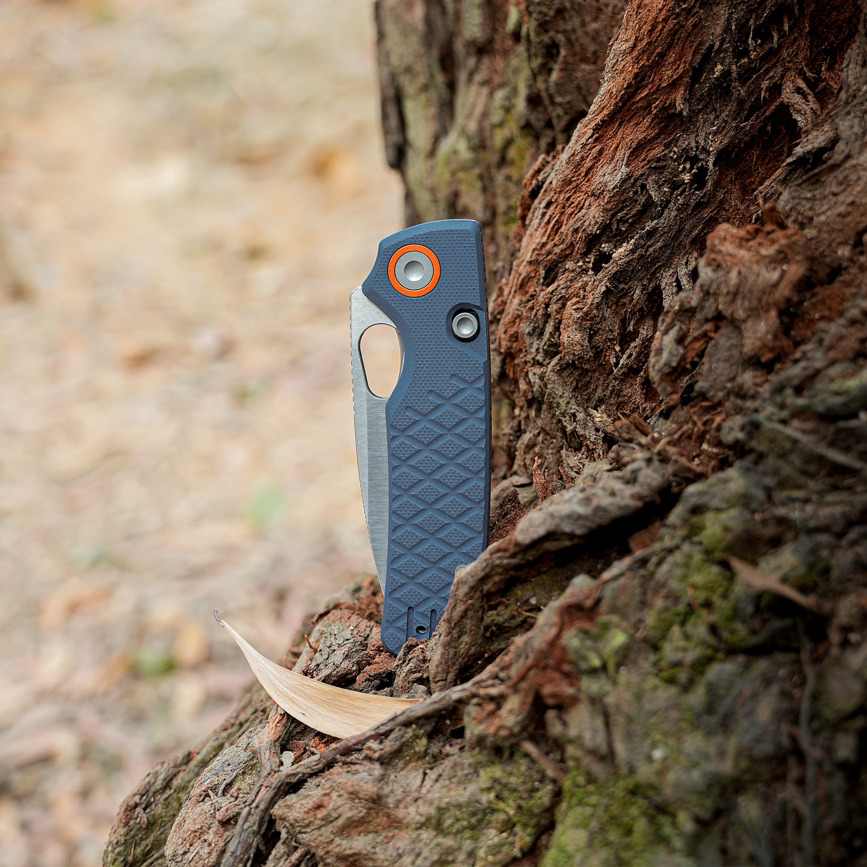 Blue folding utility knife lodged into tree bark with a curved wooden strip resting along the trunk, close-up detail of the tool and bark.