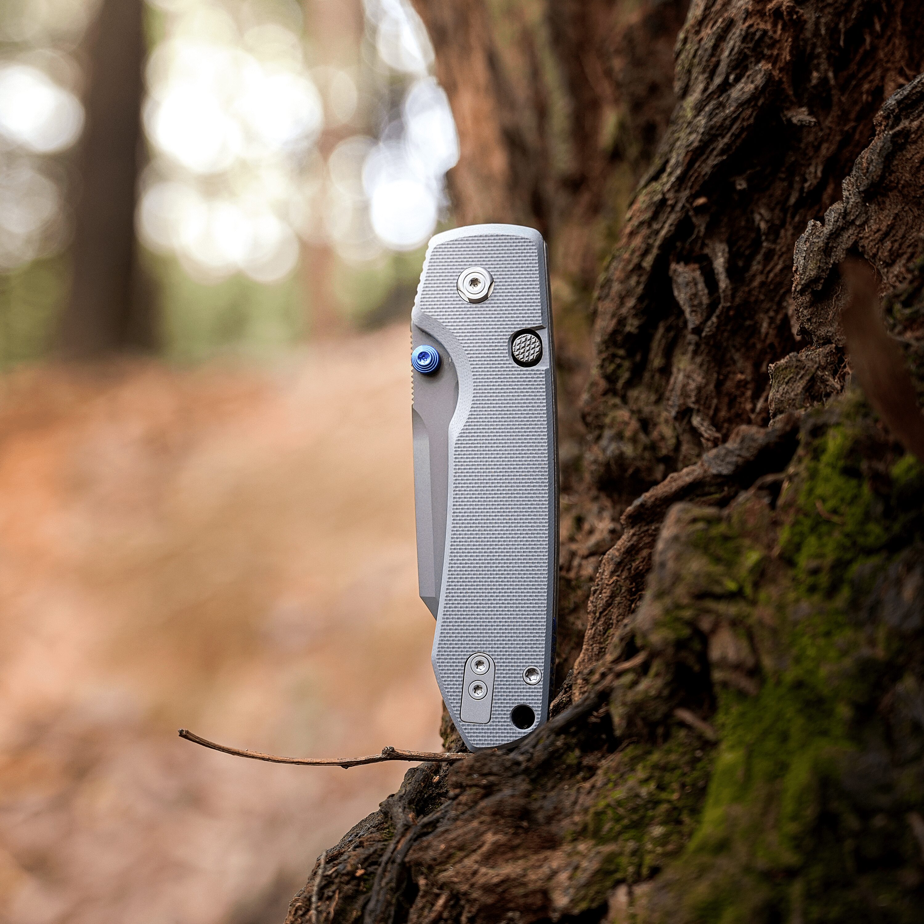 Close-up of a gray folding knife partially embedded in a tree trunk in a forest, with a blurred autumnal background.