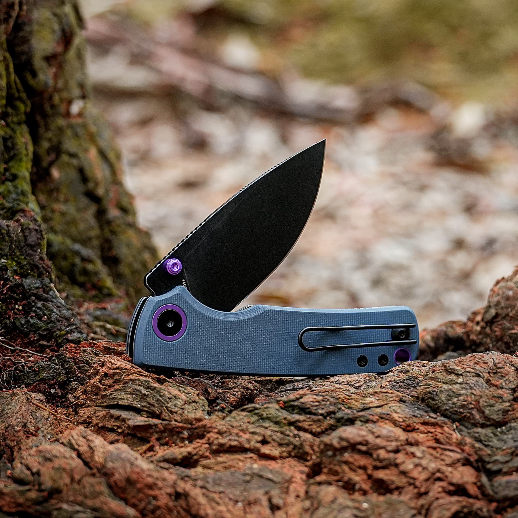 Fixed-blade knife embedded in a mossy rock outdoors, purple hardware visible on the handle