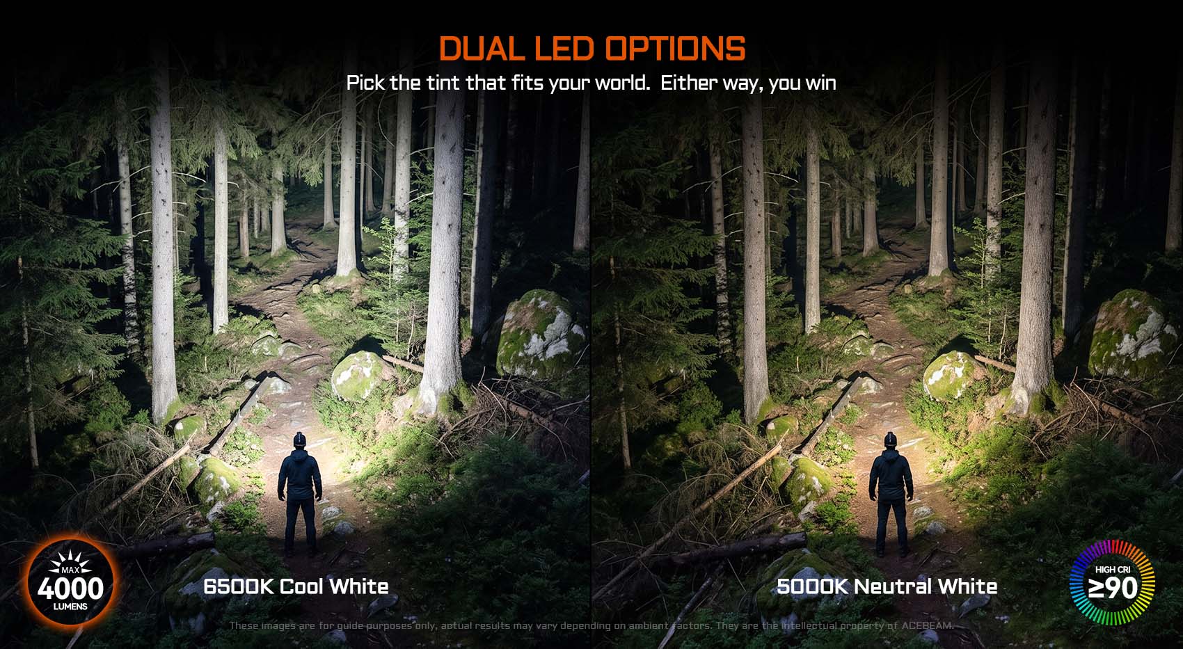 Split-screen forest path at night showing two headlamp options: 6500K cool white on left, 5000K neutral white on right, with a person standing in the trail.